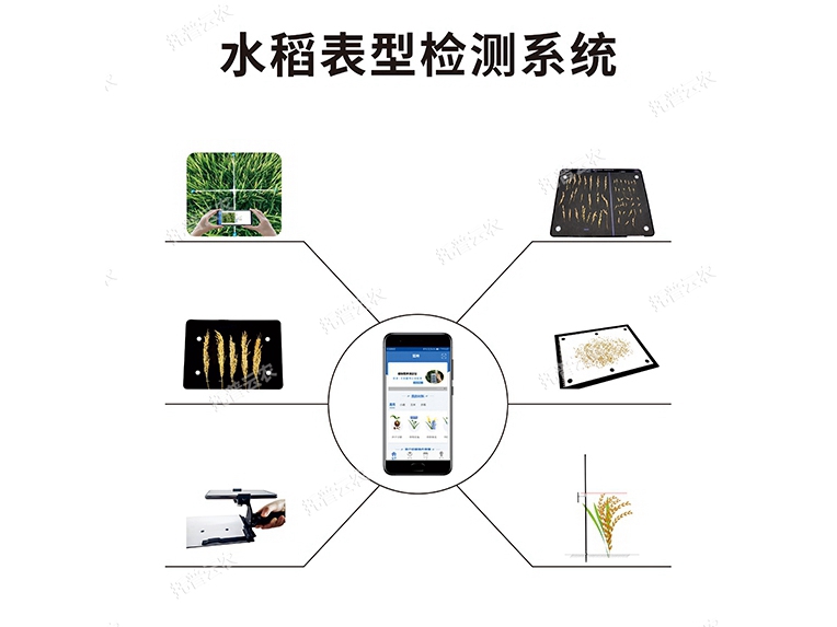 TPS-BX-1水稻表型檢測(cè)系統(tǒng)