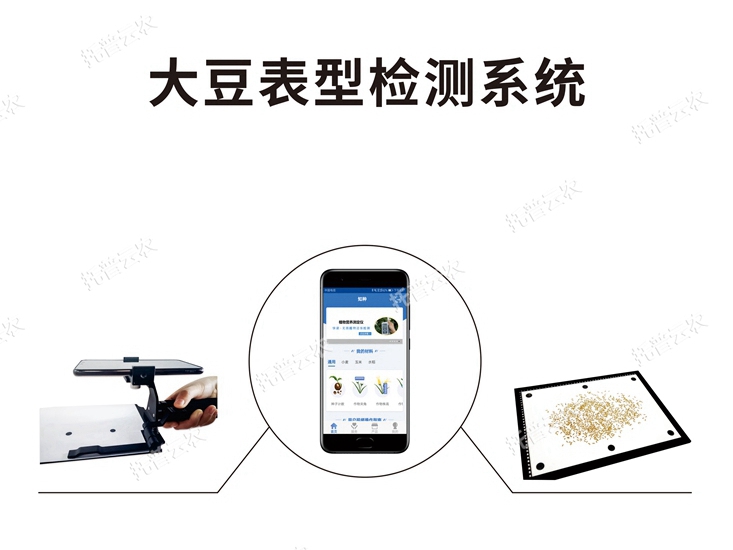 大豆表型檢測(cè)系統(tǒng)TPD-BX-1