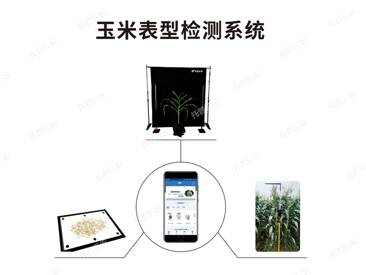玉米表型檢測(cè)系統(tǒng)TPY-BX-1