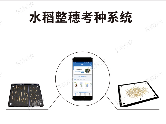 TPDS-X-1 plus水稻整穗考種測(cè)量系統(tǒng)