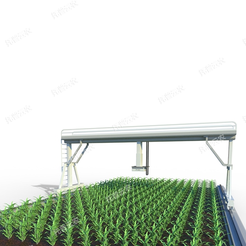 軌道式田間高通量植物表型采集分析平臺(tái)