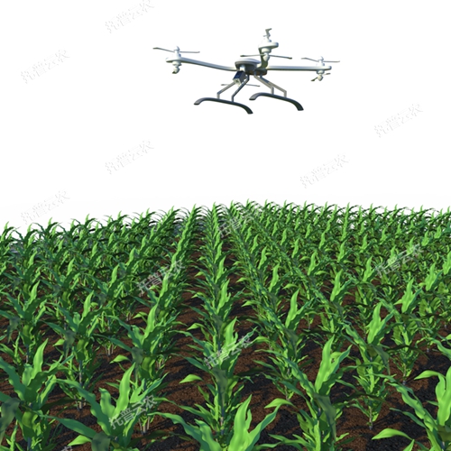 無(wú)人機(jī)田間高通量植物表型采集分析平臺(tái)