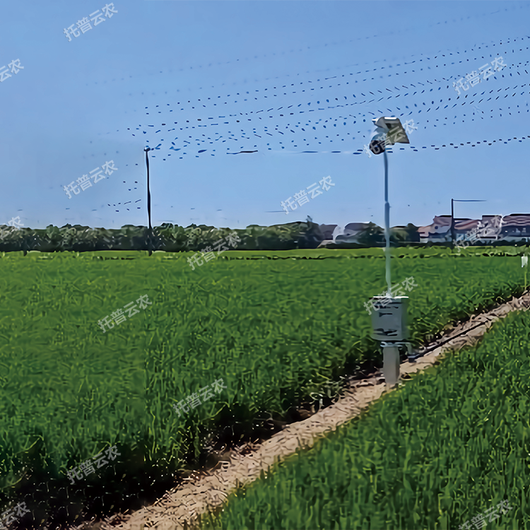 自動趕蛾智能統(tǒng)計桿TP-GESB2.0