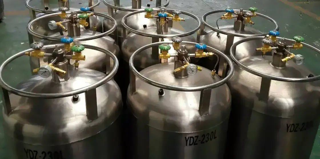 自增壓液氮罐 自增壓液氮罐